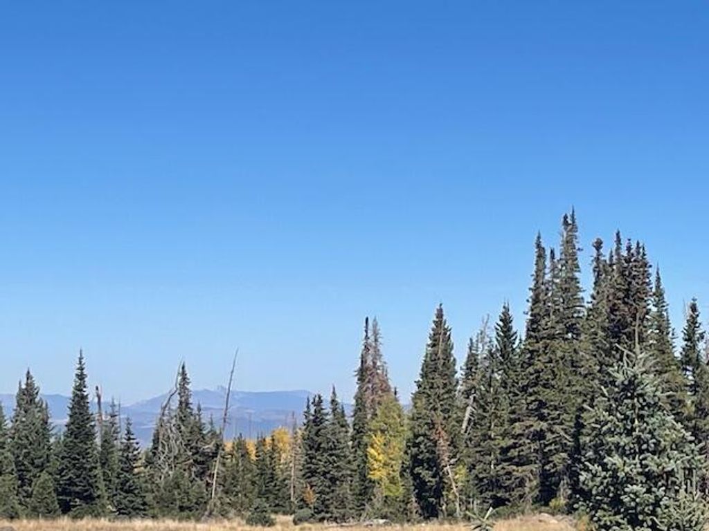 Photo of 1015 E Autumn DR, Brian Head, UT 84719 (MLS # 113233)