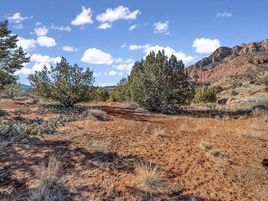 Photo of Claret Cup, Springdale, UT 84767 (MLS # 117538)