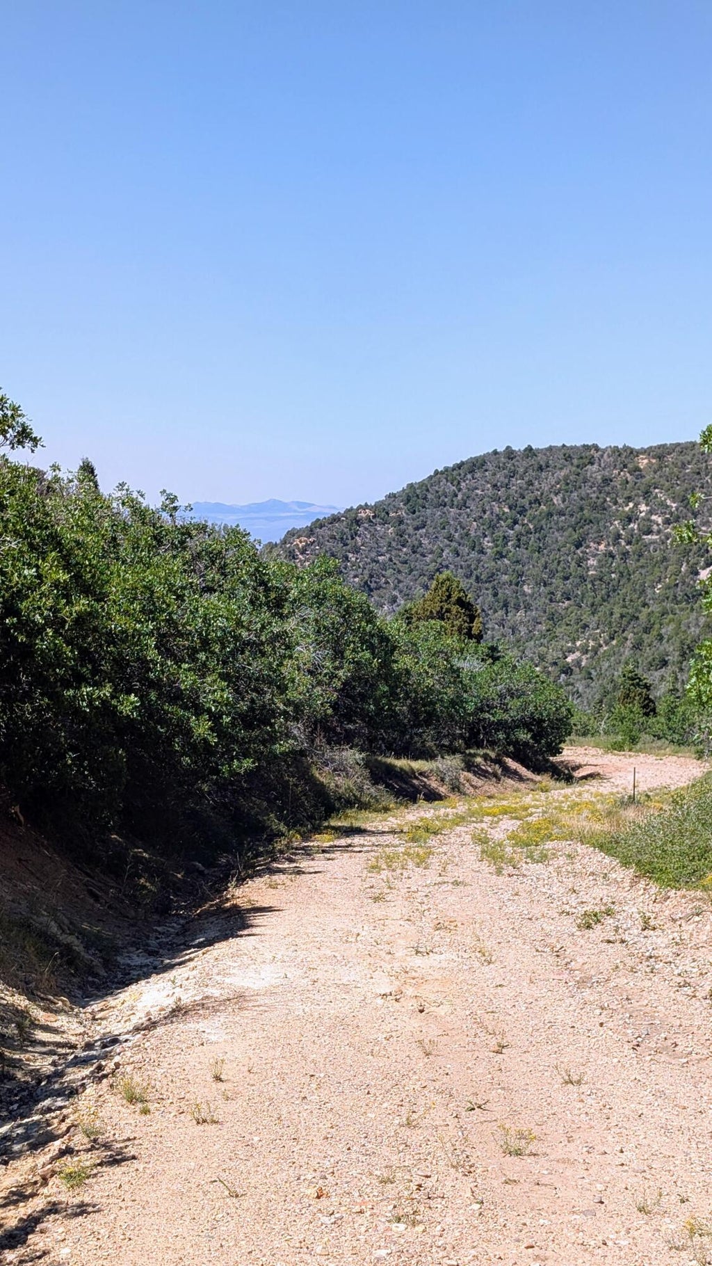 Photo of Lot 80 Braffits Creek 3200 Sub, Summit, UT 84772 (MLS # 117517)