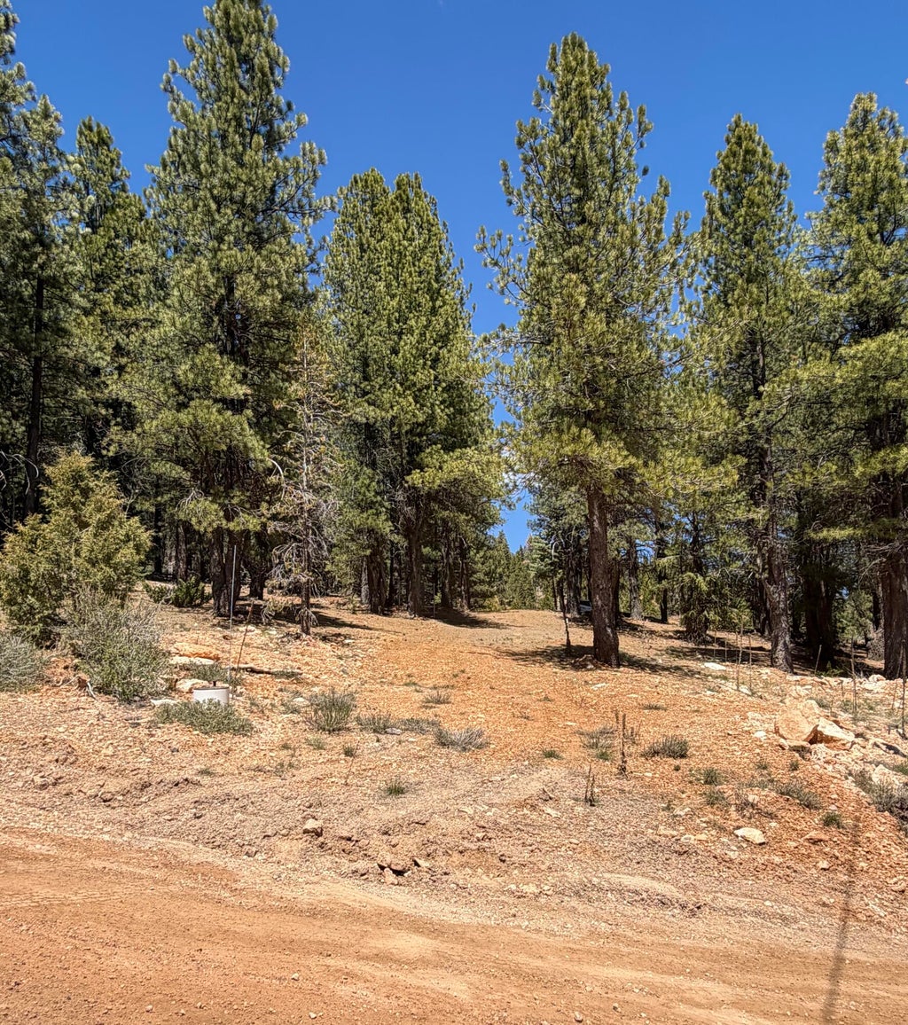 Photo of 2375 Douglas Trail, Duck Creek Village, UT 84762 (MLS # 115726)