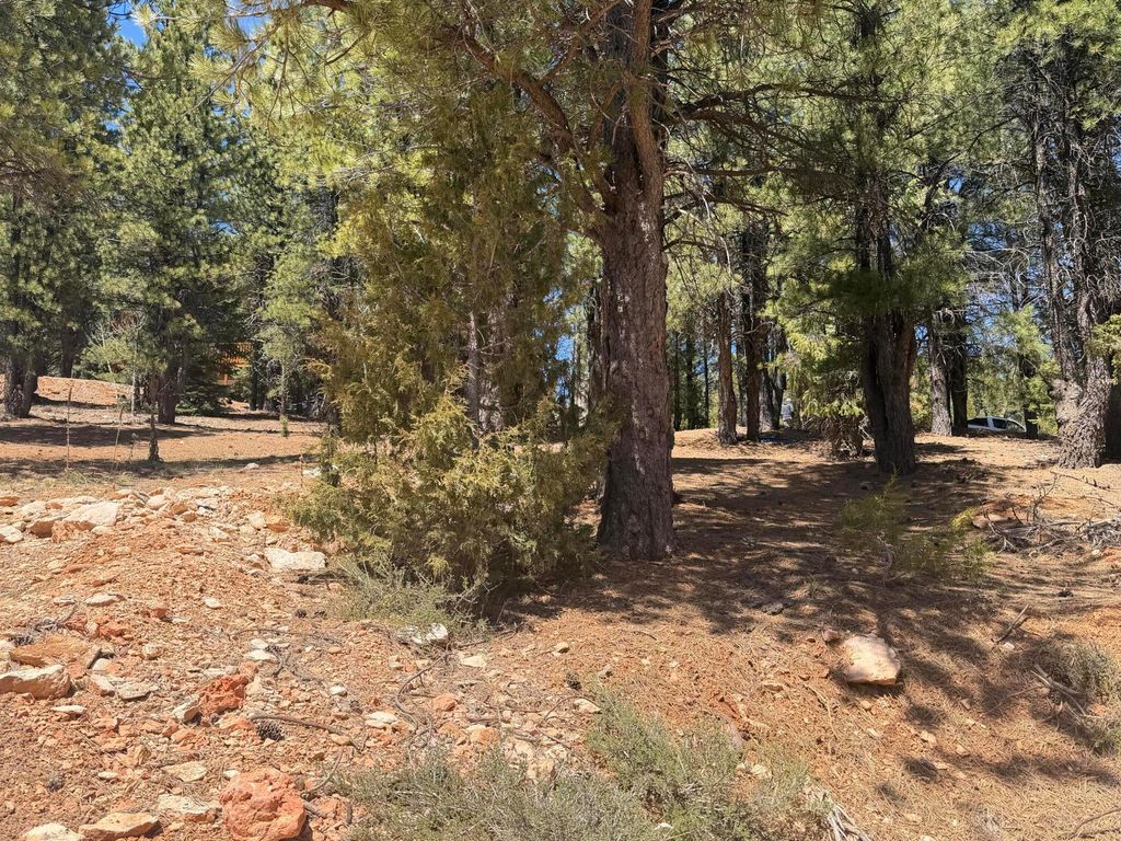 Photo of 2375 Douglas Trail, Duck Creek Village, UT 84762 (MLS # 115726)