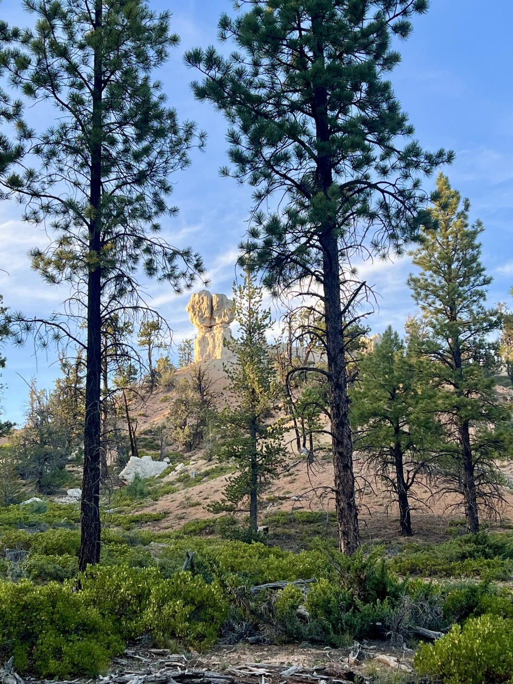 Photo of 6 Elk Ridge Estates Phase 6, Alton, UT 84710 (MLS # 118026)