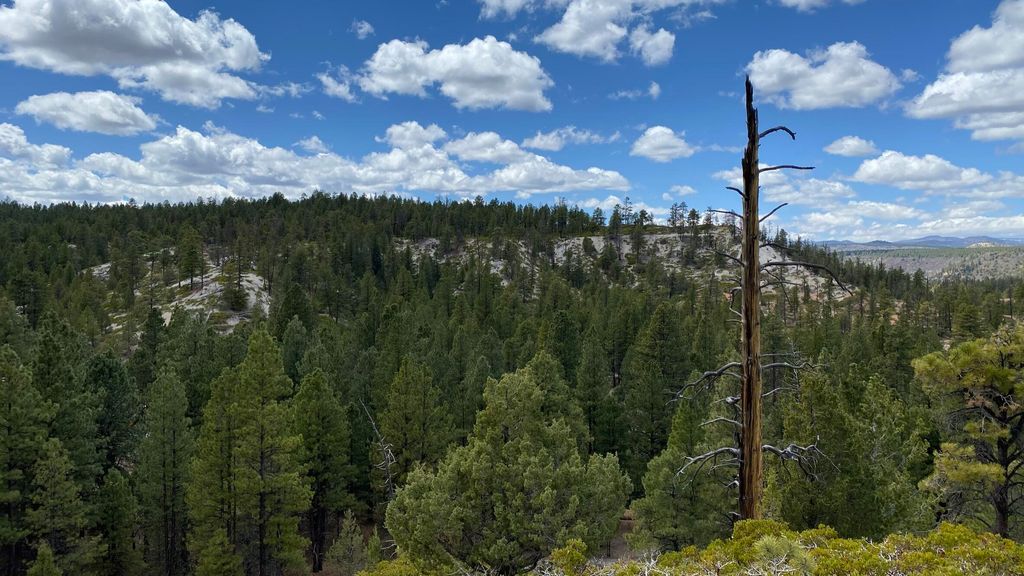 Photo of 14 N Royal Drive, Duck Creek Village, UT 84762 (MLS # 108233)