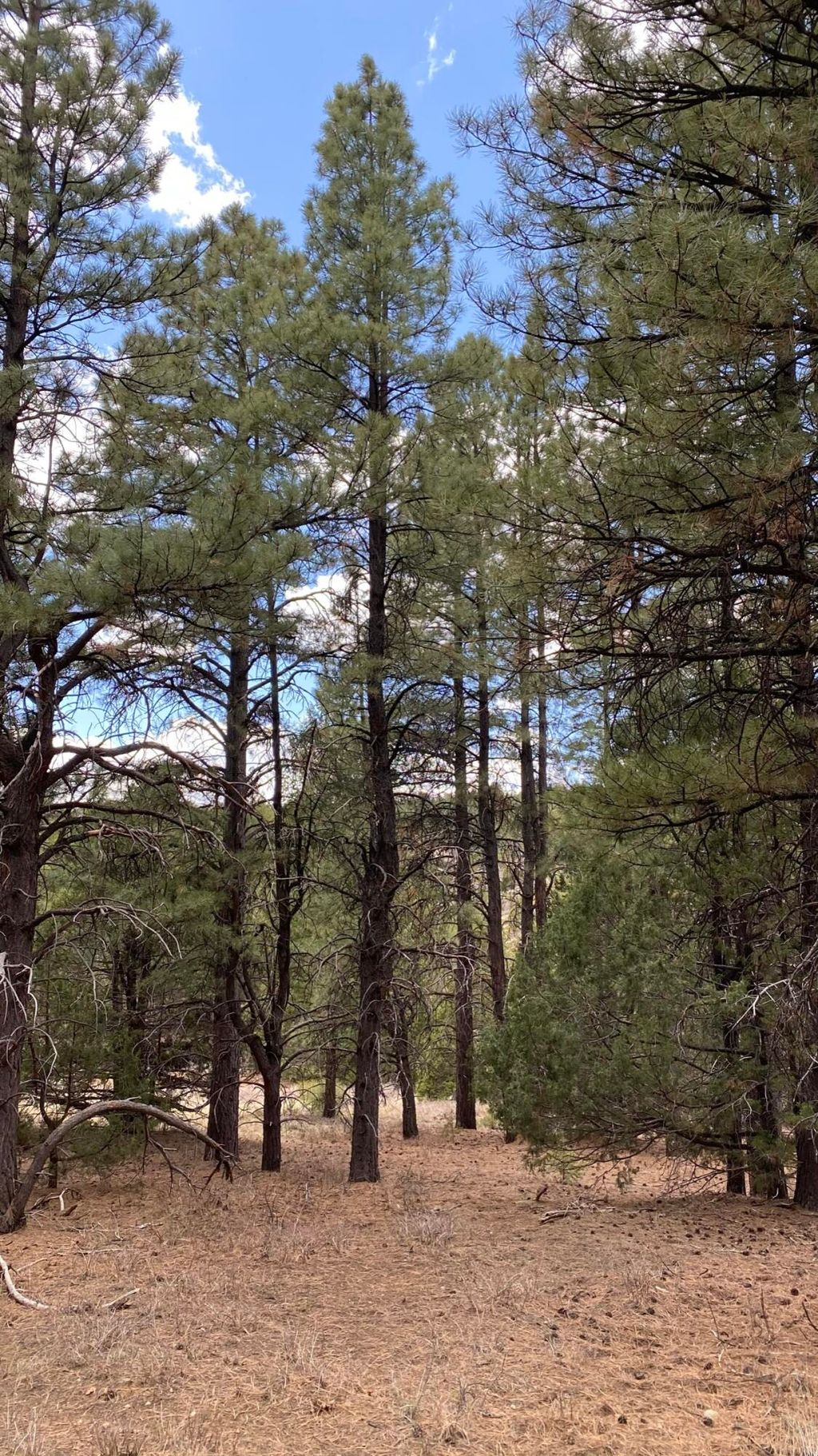 Photo of 14 N Royal Drive, Duck Creek Village, UT 84762 (MLS # 108233)