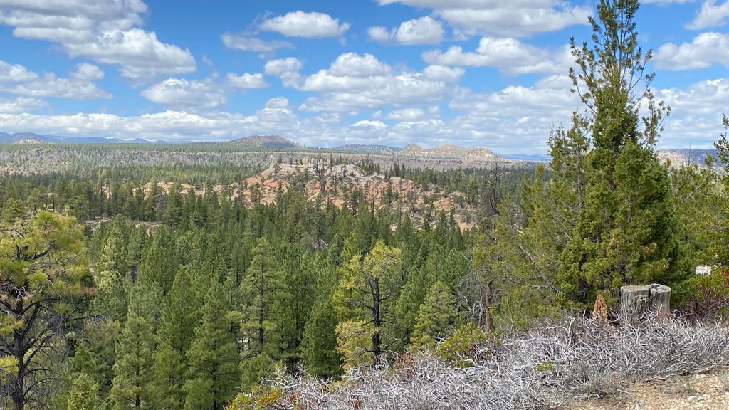 Photo of 14 N Royal Drive, Duck Creek Village, UT 84762 (MLS # 108233)