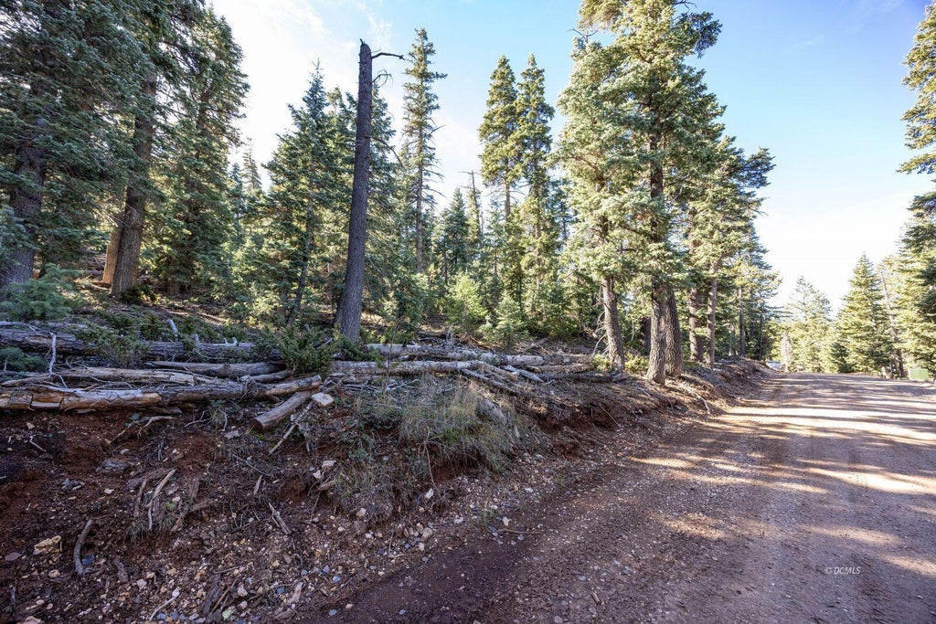 Photo of 1285 W Twisted Trail, Duck Creek Village, UT 84762 (MLS # 117057)