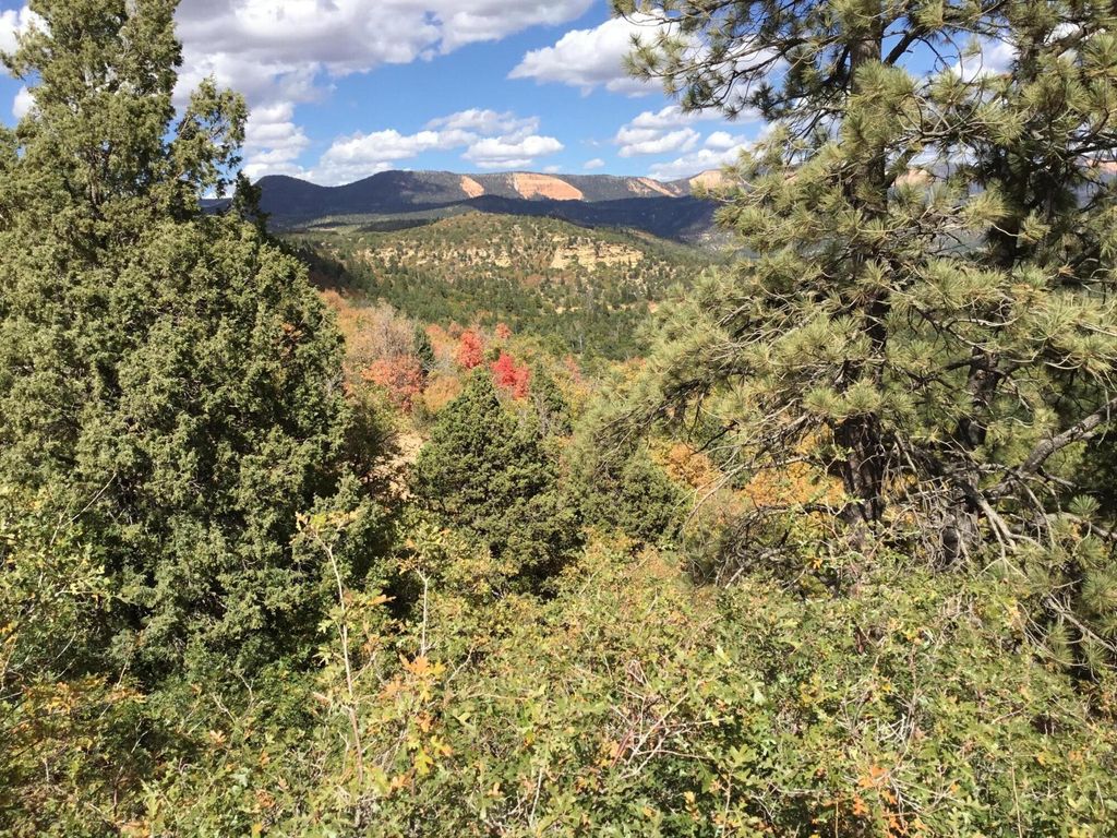 Photo of 91495 County Rd 89W7, Duck Creek Village, UT 84762 (MLS # 108980)