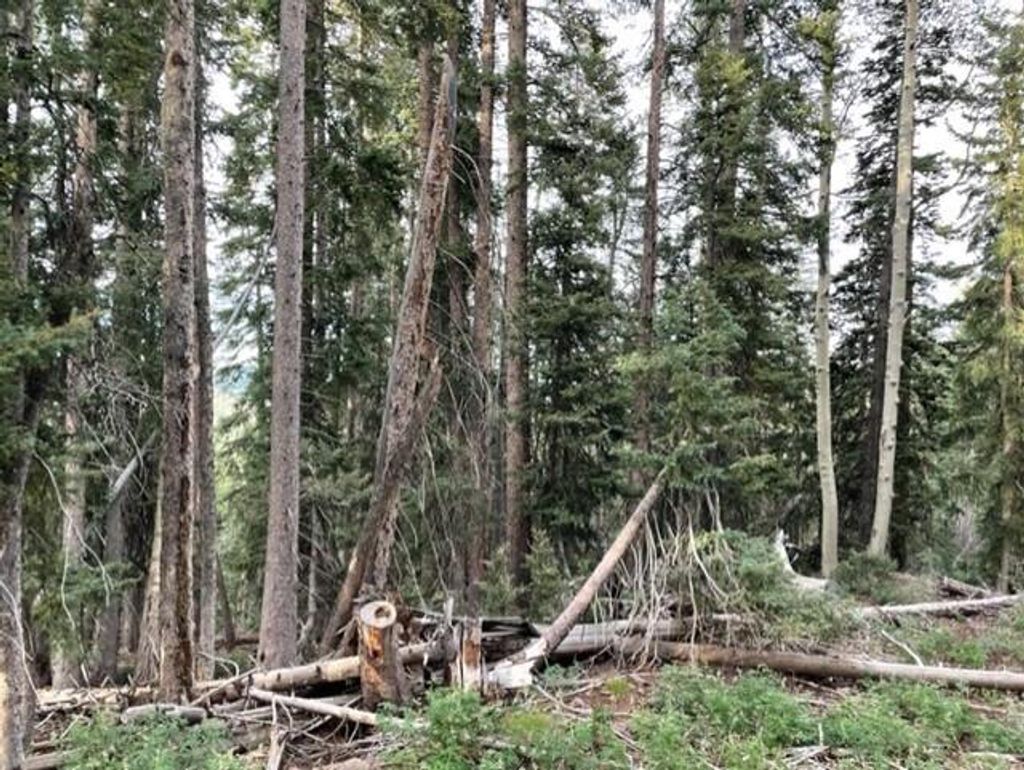 Photo of 130 Arrowhead Subdivision, Beaver, UT 84713 (MLS # 111865)
