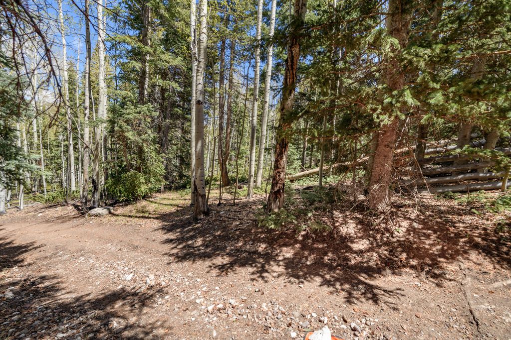 Photo of Clear Creek Estates Lot 32, Panguitch Lake, UT 84759 (MLS # 116436)