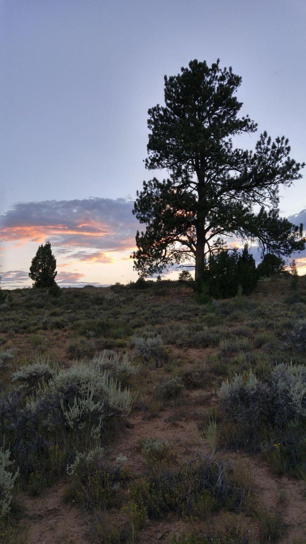 Photo of 16-0081-0942, -1941, -0940,-37, Bryce Canyon, UT 84764 (MLS # 116228)