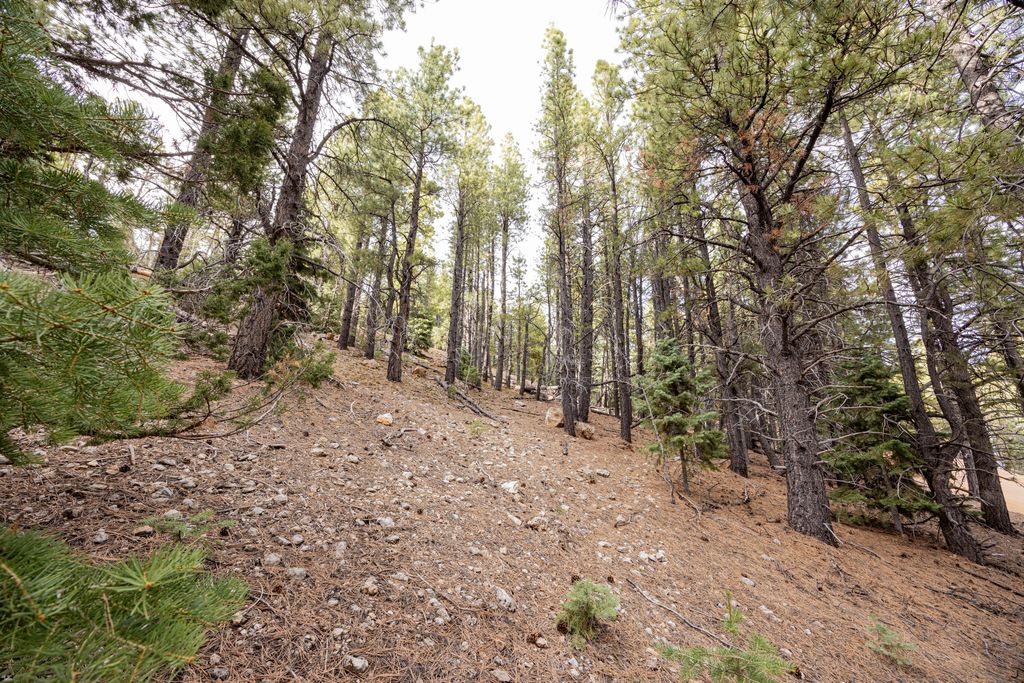 Photo of 1720 E Centurion CIR, Duck Creek Village, UT 84762 (MLS # 111062)