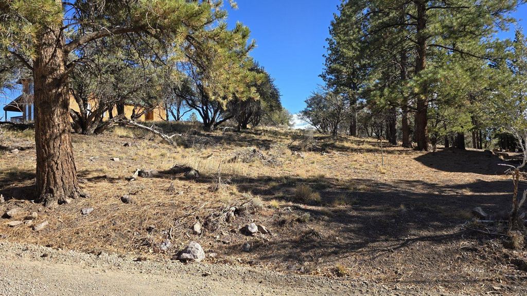 Photo of 386 N Elk Drive DR, Panguitch Lake, UT 84759 (MLS # 113760)