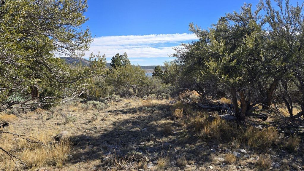 Photo of 386 N Elk Drive DR, Panguitch Lake, UT 84759 (MLS # 113760)