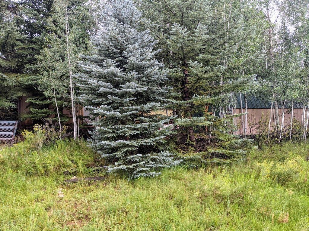 Photo of 175 N Apollo Trail, Duck Creek Village, UT 84762 (MLS # 112283)