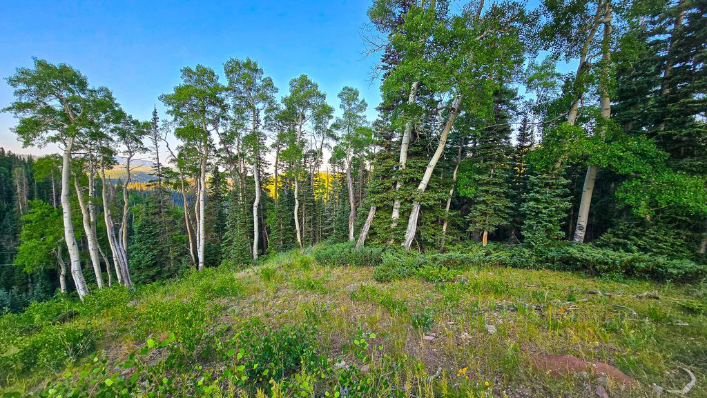 Photo of West Village Lot 28, Beaver, UT 84713 (MLS # 101527)