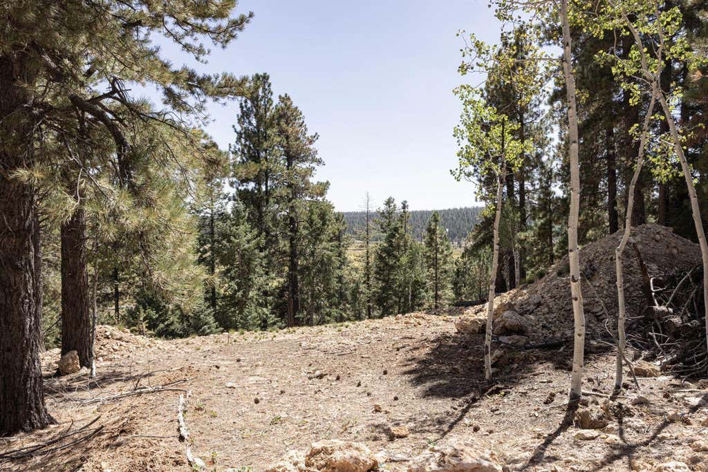 Photo of 910 E Ridge DR, Duck Creek Village, UT 84762 (MLS # 117183)