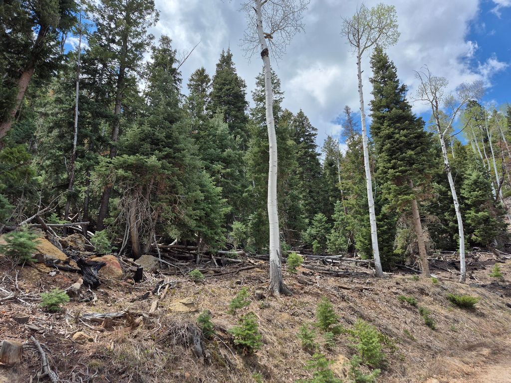 Photo of 3334 Bonnie Green RD, Duck Creek Village, UT 84762 (MLS # 111821)