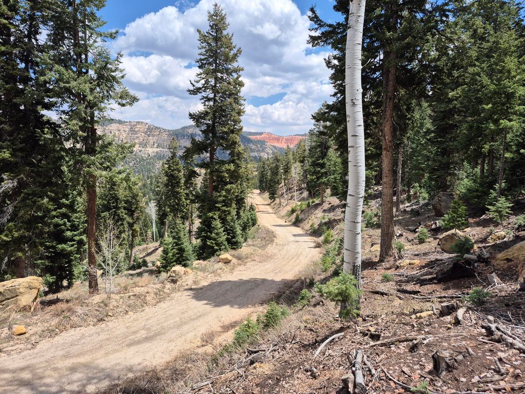 Photo of 3334 Bonnie Green RD, Duck Creek Village, UT 84762 (MLS # 111821)