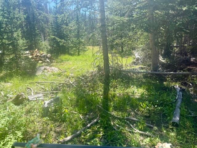 Photo of 107 S Quill RD #Lot 19, Brian Head, UT 84719 (MLS # 117455)