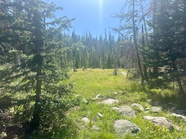 Photo of 107 S Quill RD #Lot 19, Brian Head, UT 84719 (MLS # 117455)