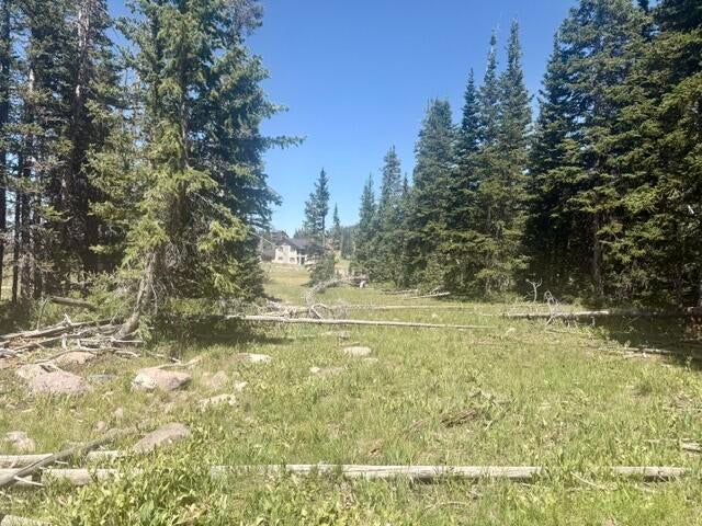 Photo of 107 S Quill RD #Lot 19, Brian Head, UT 84719 (MLS # 117455)