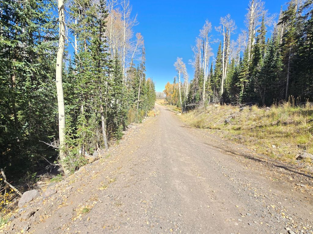 Photo of 349 N Scenic DR, Brian Head, UT 84719 (MLS # 113390)