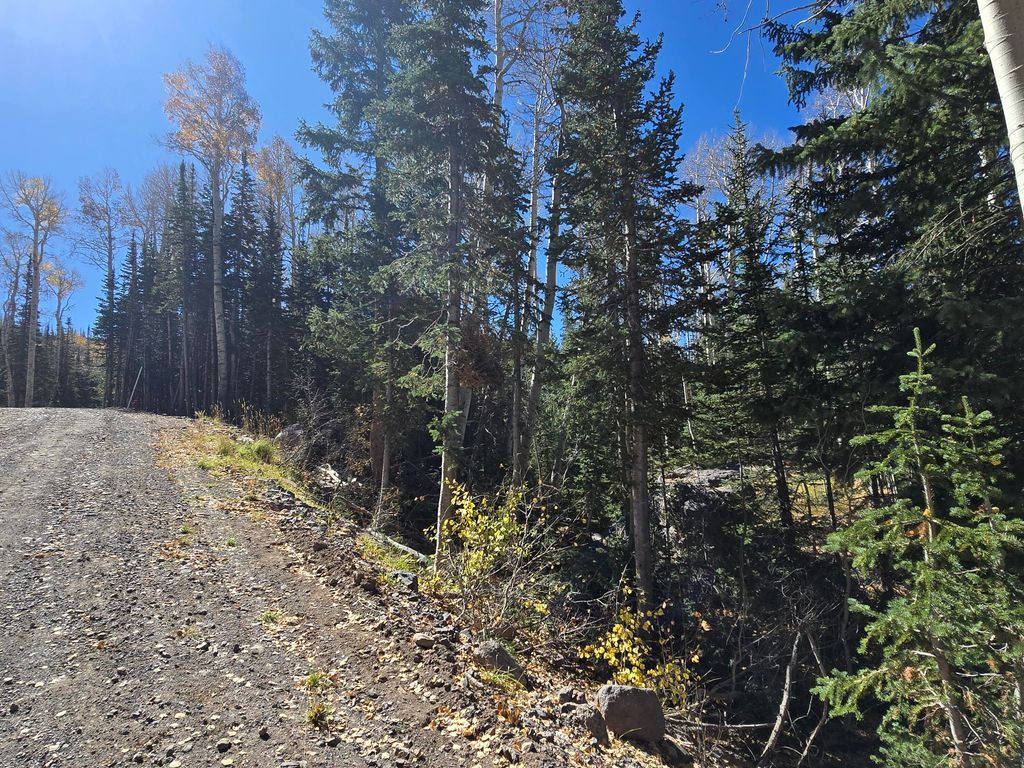 Photo of 349 N Scenic DR, Brian Head, UT 84719 (MLS # 113390)