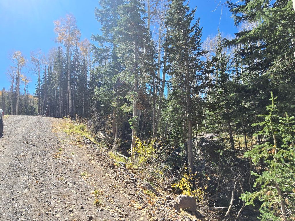 Photo of 349 N Scenic DR, Brian Head, UT 84719 (MLS # 113390)