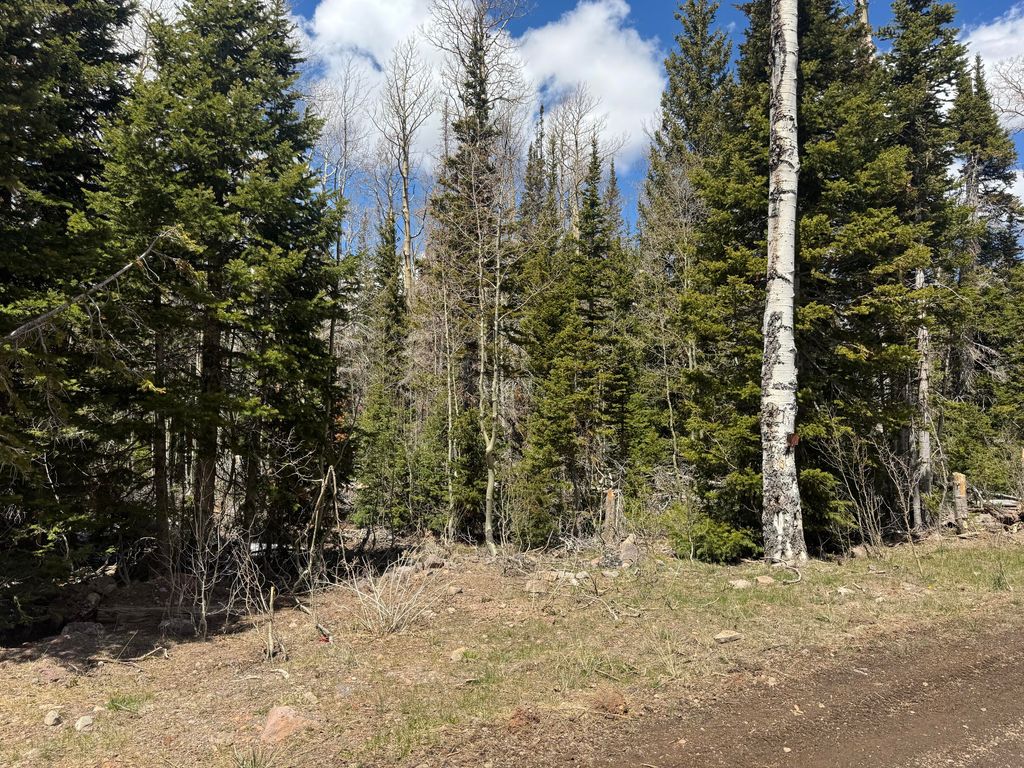 Photo of 347 N Falcon CT, Brian Head, UT 84719 (MLS # 116236)