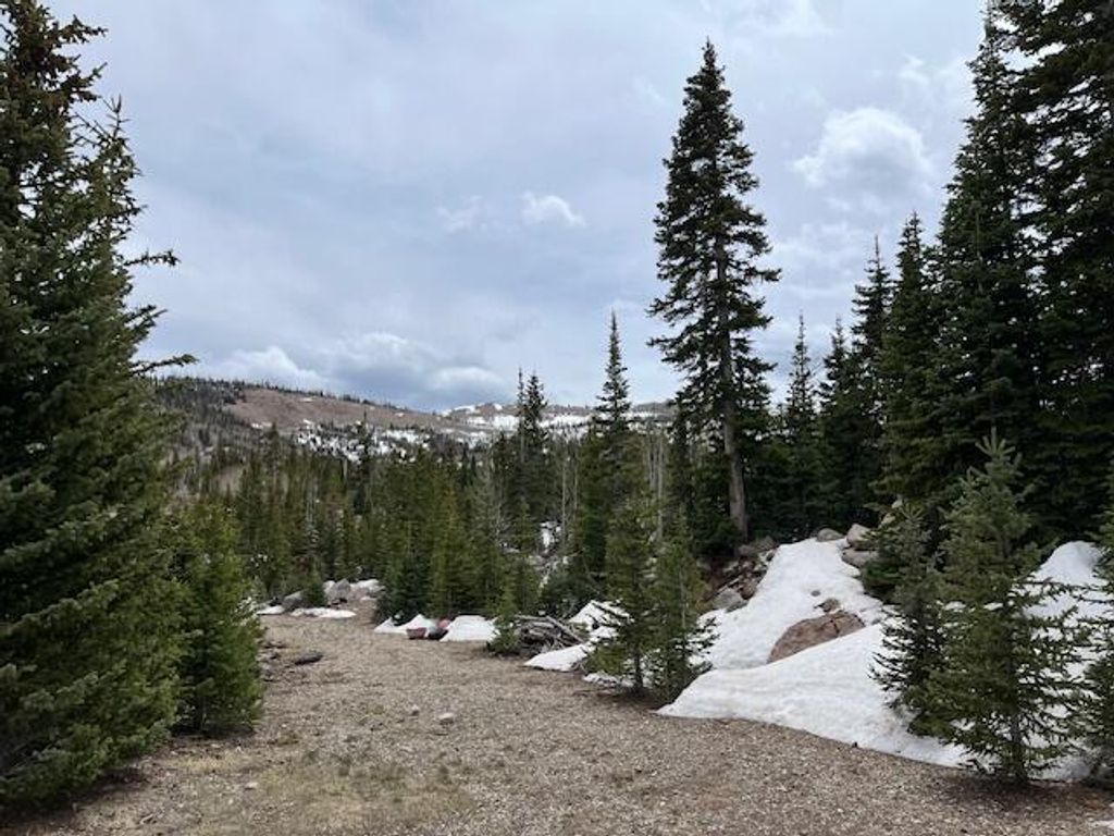 Photo of 752 E Plateau Place, Brian Head, UT 84719 (MLS # 111491)