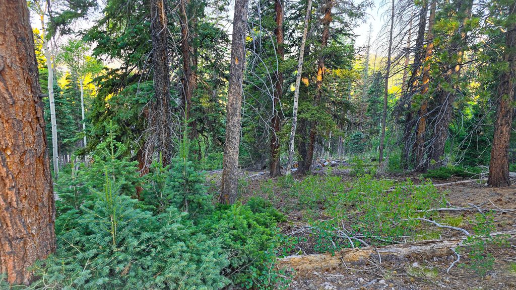 Photo of Ponderosa DR #Lot 148, Beaver, UT 84713 (MLS # 114826)