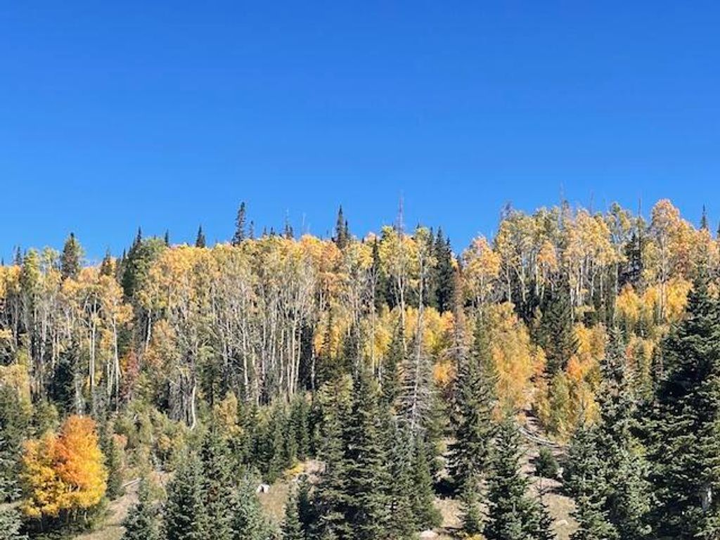 Photo of 1005 E Autumn DR, Brian Head, UT 84719 (MLS # 113235)