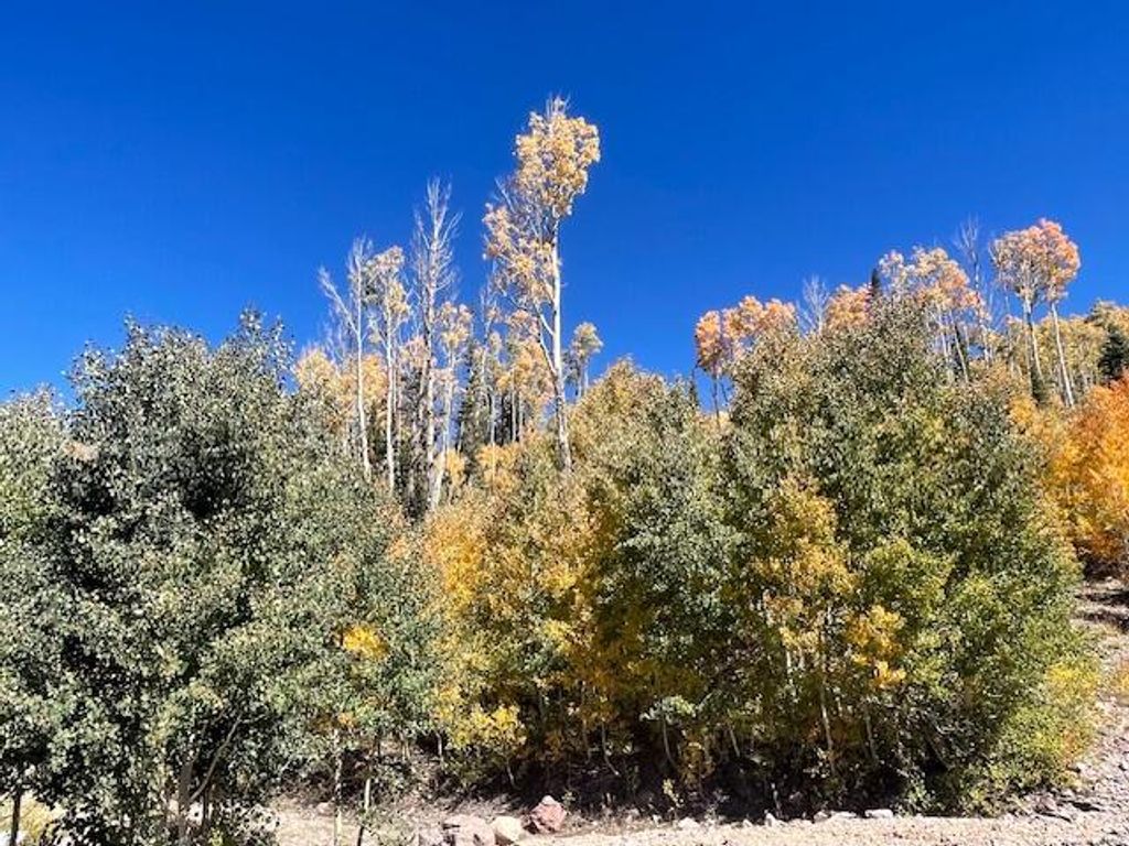Photo of 1005 E Autumn DR, Brian Head, UT 84719 (MLS # 113235)