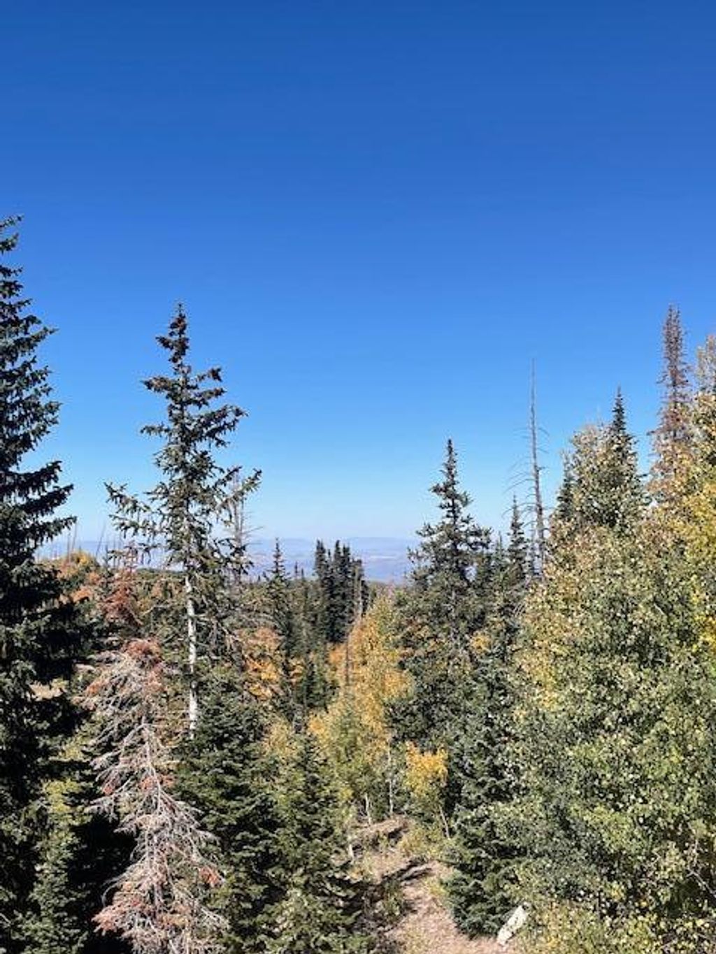 Photo of 1005 E Autumn DR, Brian Head, UT 84719 (MLS # 113235)