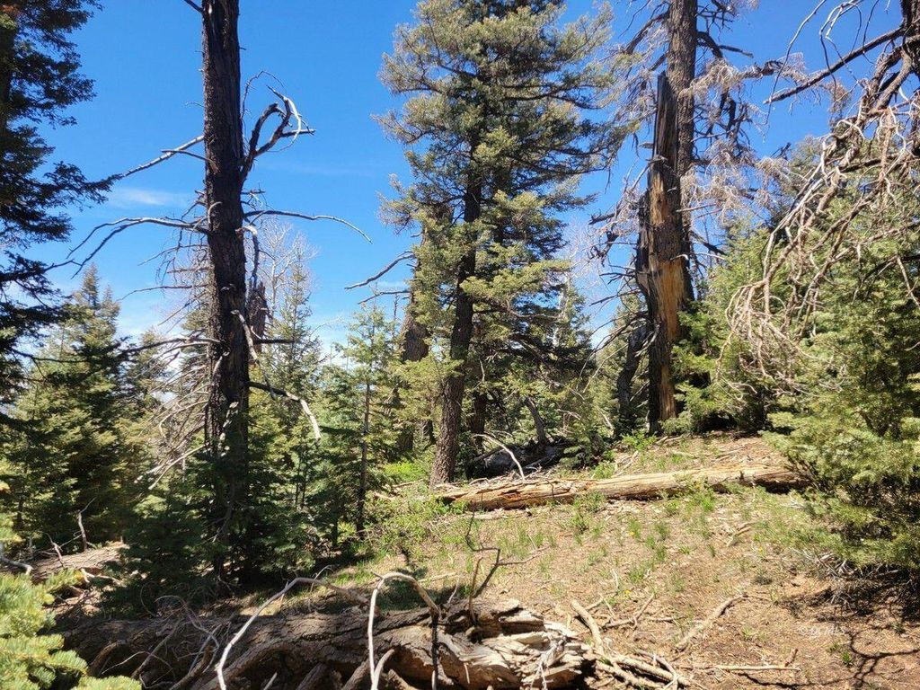 Photo of 6020 W North Fork RD, Duck Creek Village, UT 84762 (MLS # 114684)