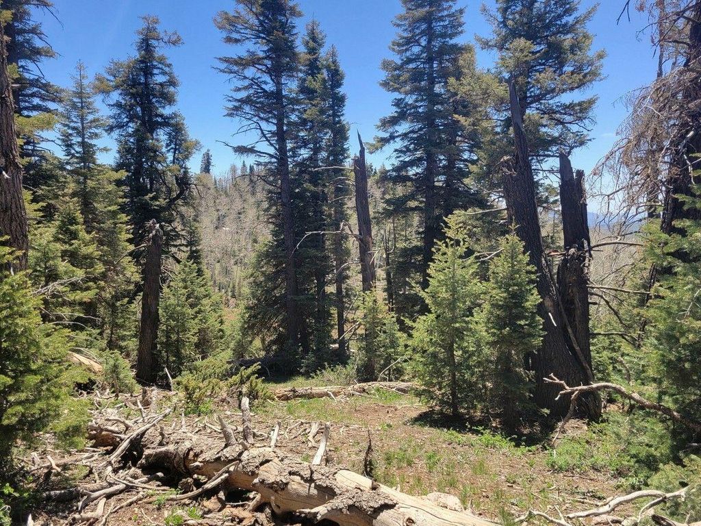 Photo of 6020 W North Fork RD, Duck Creek Village, UT 84762 (MLS # 114684)