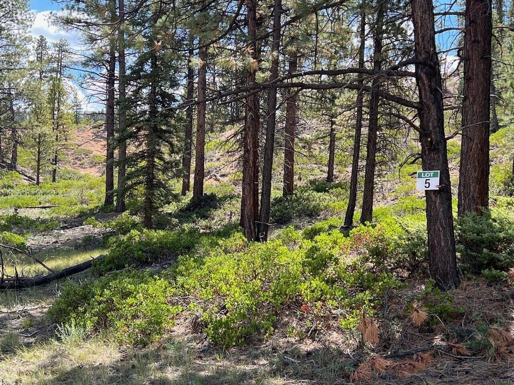 Photo of 5 Elk Ridge Estates Phase 6, Alton, UT 84710 (MLS # 118024)
