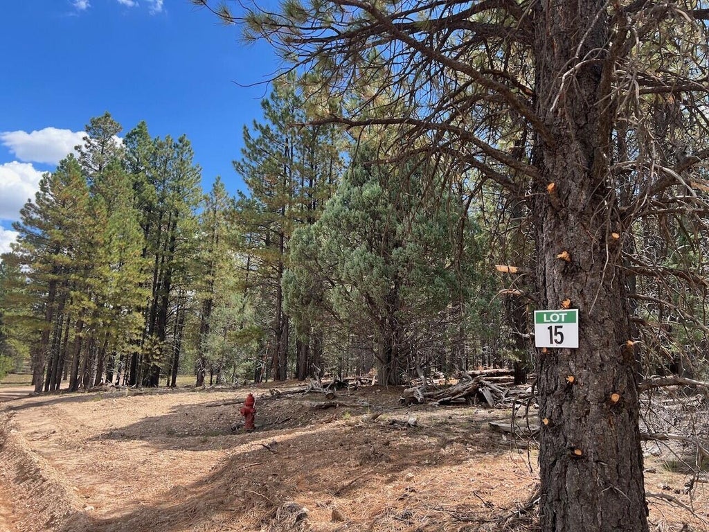 Photo of 15 Elk Ridge Estates Phase 6, Alton, UT 84710 (MLS # 118035)