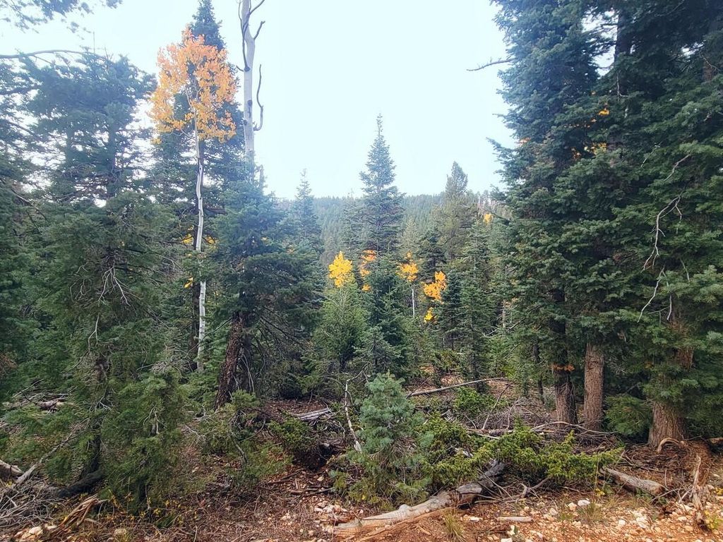 Photo of 55 S Quakie Place, Duck Creek Village, UT 84762 (MLS # 113476)