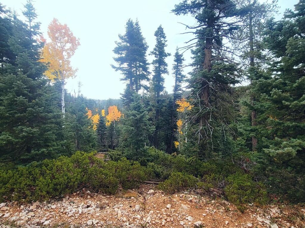 Photo of 55 S Quakie Place, Duck Creek Village, UT 84762 (MLS # 113476)