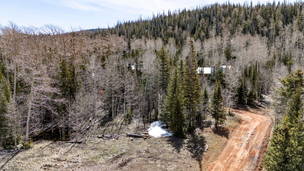 Photo of 253 E Quakie DR, Brian Head, UT 84719 (MLS # 116171)