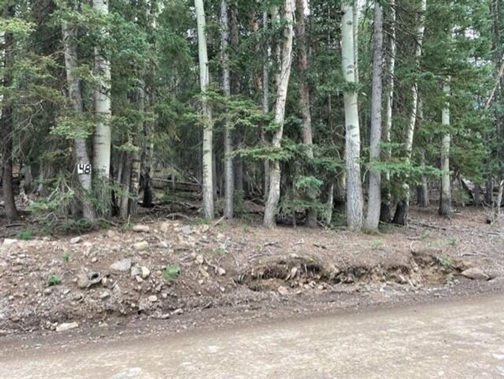 Photo of 48 Arrowhead Subdivision, Beaver, UT 84713 (MLS # 111868)