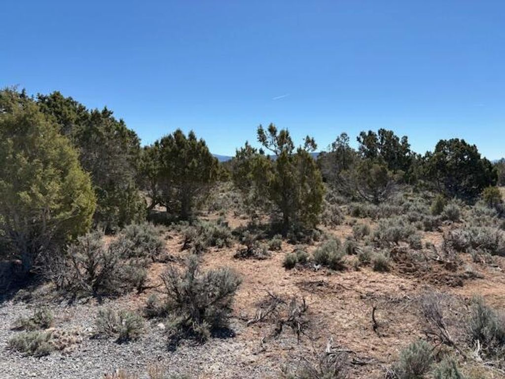 Photo of 3500 N 1050 East, Beaver, UT 84713 (MLS # 115385)