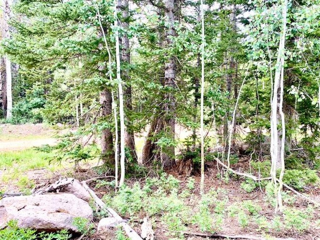 Photo of 384 N 275 E #Lot 91 &amp; 92, Brian Head, UT 84719 (MLS # 116218)