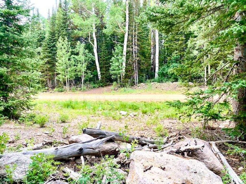 Photo of 384 N 275 E #Lot 91 &amp; 92, Brian Head, UT 84719 (MLS # 116218)