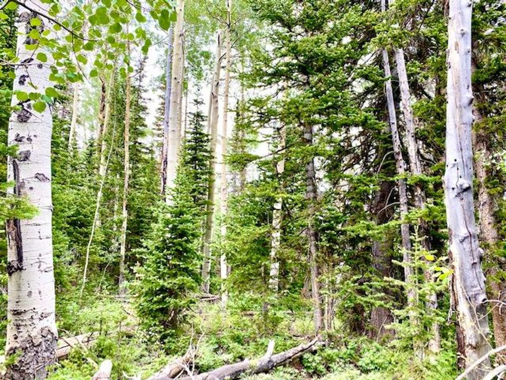 Photo of 384 N 275 E #Lot 91 &amp; 92, Brian Head, UT 84719 (MLS # 116218)