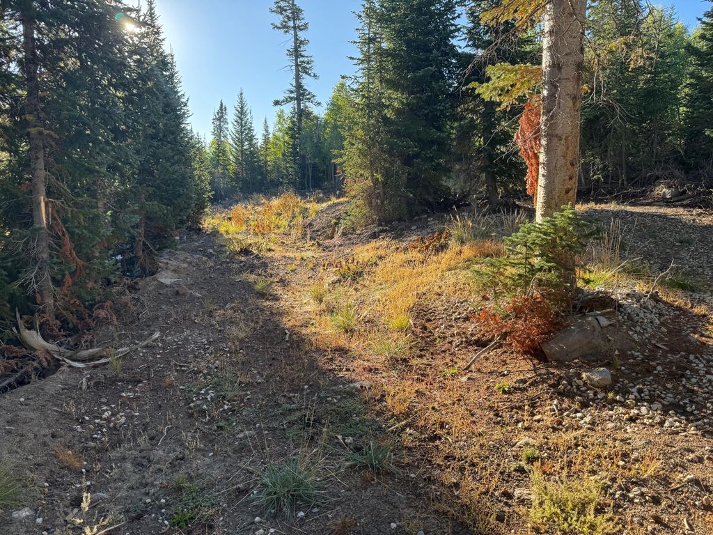 Photo of 2770 E Sawmill St #Meadow Lake Estate B, Brian Head, UT 84719 (MLS # 112993)