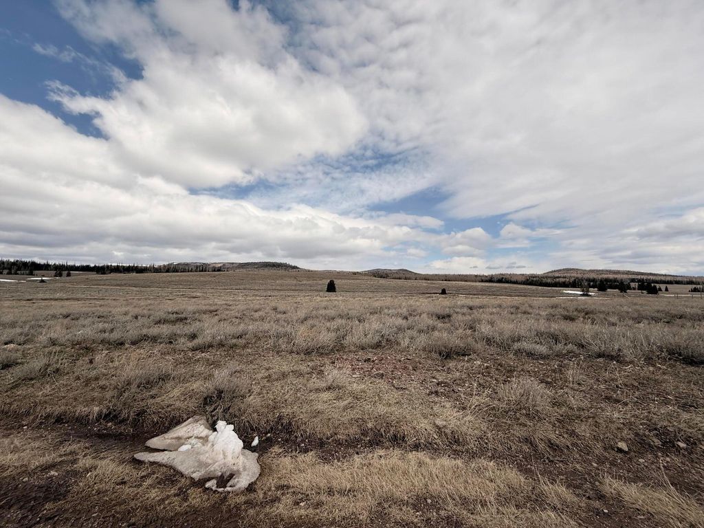 Photo of 2541 E Meadow Lake DR, Brian Head, UT 84719 (MLS # 116075)