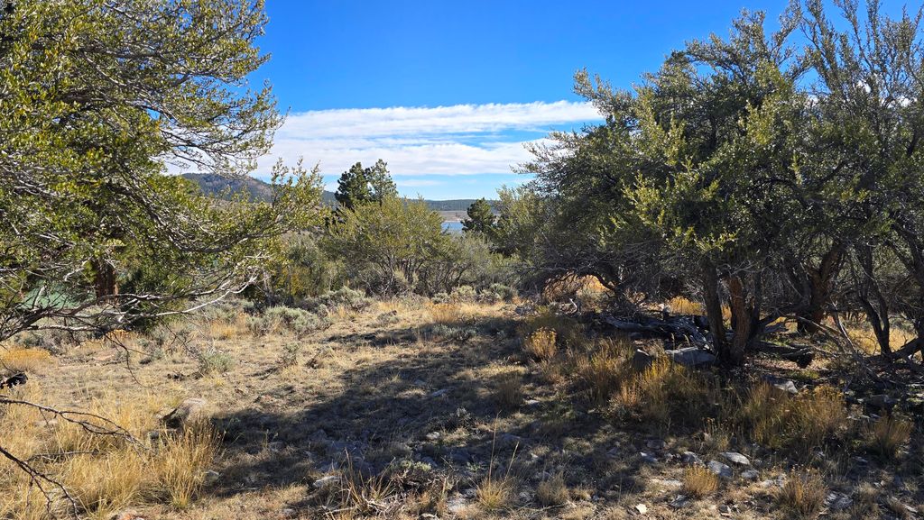 Photo of 386 N Elk DR, Panguitch Lake, UT 84759 (MLS # 113759)