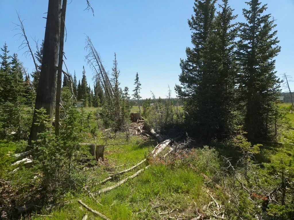 Photo of 2397 E Rainbow LN, Brian Head, UT 84719 (MLS # 117456)